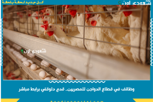 وظائف في قطاع الدواجن للمصريين.. قدم دلوقتي برابط مباشر